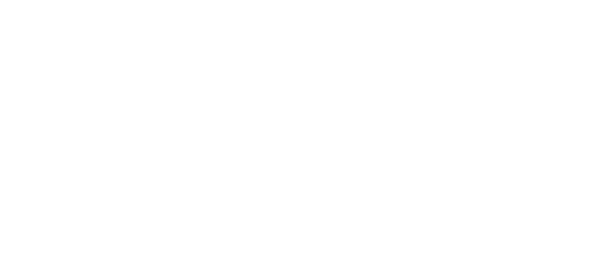 Bristol University Logo